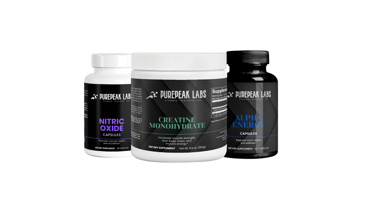 The Muscle Blueprint
